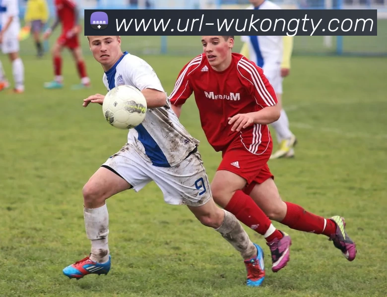 悟空体育APP 高清赛事图